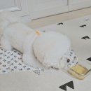 가마솥황태 이미지