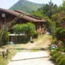 녹수와 청산의 집 이미지