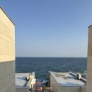 가좌동 청송빌라 앞 | 파나크 영덕 바이 소노벨 후기 고희연 상차림 가족여행숙소 추천