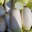 무을농협하나로마트 이미지