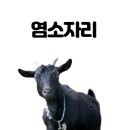 염소자리 네이버블로그