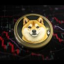 도지(DOGE) 이미지