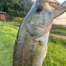 선행저수지 이미지