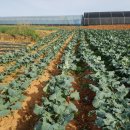 순겸농장 이미지