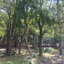 청량산에서 | 인천 연수구 옥련동 계곡 : 청량산 청룡공원 물놀이터 주차 매점 주말 솔직후기