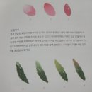 오일파스텔 컬러링 | [오일파스텔 도전기]초보자도 가능한 오일파스텔&amp;컬러링북 후기