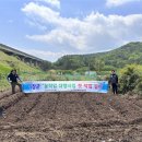 박미진임대