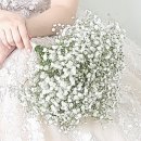 로제머리염색&네일