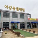 어강동물병원 이미지