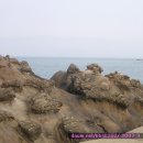 양명산