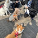 제제 이미지