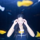 코코사진관 - 원주시 천매봉길 17 | 코코사진관