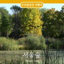 서울숲 꽃사슴 위치 단풍 명소 아이랑 가볼만한곳