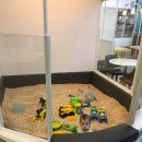 합정릴리펏 이미지