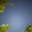 456 | 인천대공원 캠핑장 몽골텐트 너나들이 인천캠핑장 추천