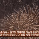 지식나무 이미지