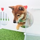 퍼밀리 이미지