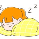 감자정육점 - 유성구 관평2로 22 | 감자정육점