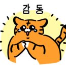 홈닥터렌탈 이미지