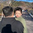 민준농장 | 김해 가야랜드, 아기랑 이렇게 재밌어도 돼? 쥬라기월드부터 동물농장까지! 꿀팁후기