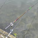 지정낚시터 | 충남 공주 여행 자연농원낚시터 글램핑 어린이 체험 가볼만한곳