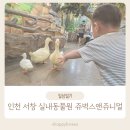 쥬니멀 | 인천 실내 아이와함께 가볼만한 곳 쥬벅스앤쥬니멀 후기