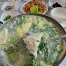 명승1 | 거제도 도다리쑥국 맛집 명승식당 횟집 내돈내산 봄 제철 음식 추천