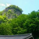 청량산유림길 이미지