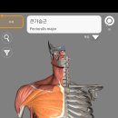 바디앤짐 신월점 이미지