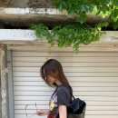 미니PICK 이미지