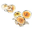 묵형상미술학원 이미지