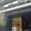 레몬모텔 | 도쿄호텔 더 라이블리 The Lively Tokyo 조식, 테라스바 후기