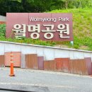 예술공원 둘레길 | 군산 가볼만한곳 월명공원 둘레길 산책 후기 &amp; 무료 주차 팁!