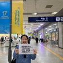 그늘막33 | 평택농업생태원 튤립 좋아하는 사람 다 모여~ 꽃나들이 축제정보 및 방문후기