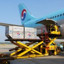 (주)디지털타임스 이미지