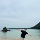 부산에서 배타고 대마도 가는 법 당일여행 팬스타크루즈 여행특공대 예약 후기