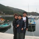 사파동407 이미지