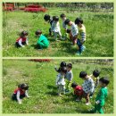 달미공원 Daum카페