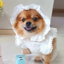 워터스윕 이미지
