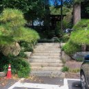 더(The) 미주농원 120 이미지