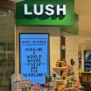 Pet shop 헤어 Queen | 호주 시드니 러쉬 쇼핑리스트 추천 기념품으로 좋은 LUSH 매장 후기