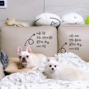 에이치 알 소프트 이미지