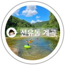 [괴산계곡]청주에서 가까운 선유동 계곡에서 평상대여 가능한 곳 선유화 방문 후기