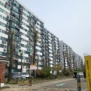 신월로(북측) 이미지