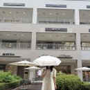 위니웰 자외선차단 양산 선물용 초경량 양우산 추천