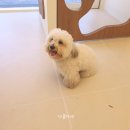 나봄스파 이미지