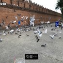 수안 호스텔 네이버블로그
