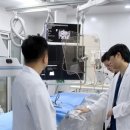 헬릭스동물메디컬센터 - 서초구 신반포로 162 | 헬릭스동물메디컬센터