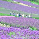 (주)퍼플미디어 이미지