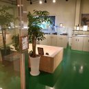 라바팜스토리